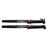Dal Soggio FSR-48 Front Fork Set XPLOR
