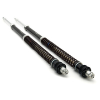 ZRX 1200 (1200S / 1200R) 04/06