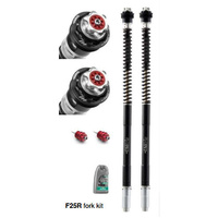 PANIGALE 1199S 12/14 - 1199R 13/17