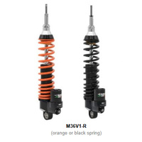 SPRINT 125 & 150 21 (rear) (rear 12" wheel