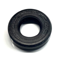 Gas Seal 10x20.2x6