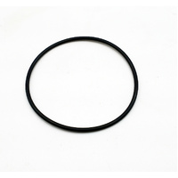 WP O-Ring 55 x 2