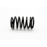 WP Rebound Spring