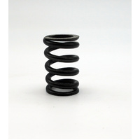 WP Rebound Spring L25