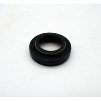 WP 50180606 Dirt Scraper NOK 18mm (SWDS 1802 )