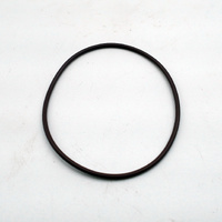 WP O-Ring