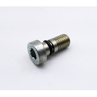 WP HS Screw M10x23